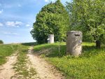 Bunkry koo erkowic