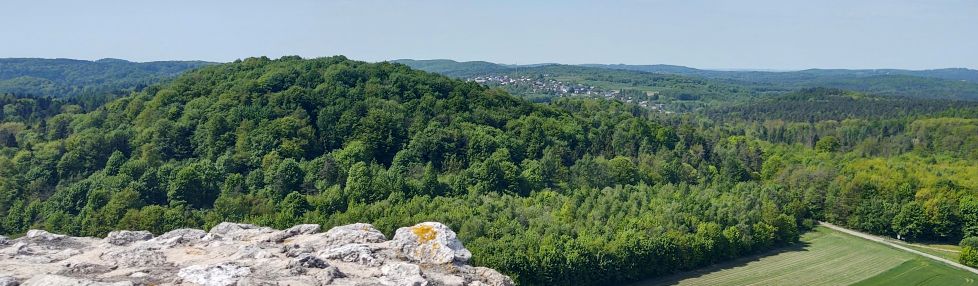 Widok z Zamku Pilcza; fot. Rafa Kraska