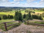 Na G�rze Cisowej